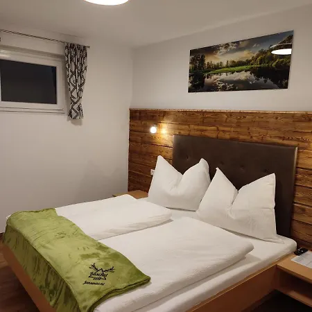 Kuschelzeit Jansenbichl Appartement *